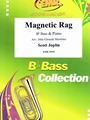 Magnetic Rag