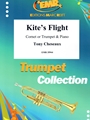 Kite's Flight