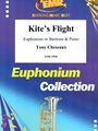 Kite's Flight