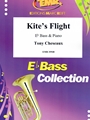 Kite's Flight