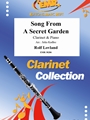 Song From A Secret Garden