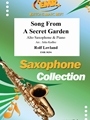 Song From A Secret Garden