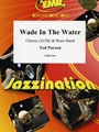 Wade In The Water
