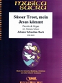 Susser Trost, mein Jesus kommt