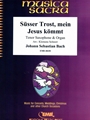 Susser Trost, mein Jesus kommt