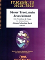 Susser Trost, mein Jesus kommt