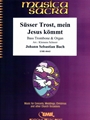 Susser Trost, mein Jesus kommt