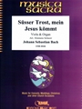 Susser Trost, mein Jesus kommt