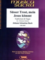 Susser Trost, mein Jesus kommt