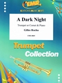 A Dark Night