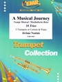 A Musical Journey