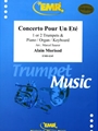 Concerto Pour Un Ete