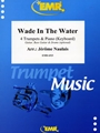 Wade In The Water