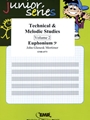 Technical & Melodic Studies Vol. 2
