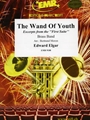 The Wand Of Youth
