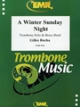 A Winter Sunday Night