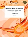 Domine Non Secundum
