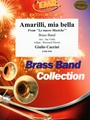 Amarilli, mia bella