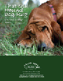 That Old Hound Dog Rag