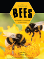 Bees (Movement 4 from The Garden Suite)