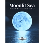 Moonlit Sea