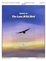 Fantasy on The Lone, Wild Bird