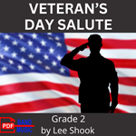 Veteran's Day Salute