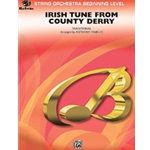 Irish Tune From County Derry