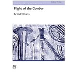 Flight Of The Condor