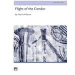 Flight Of The Condor
