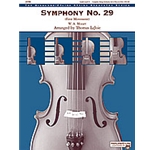 Symphony #29