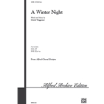 Winter Night