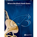 Where The Black Hawk Soars
