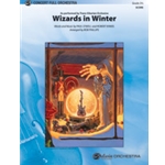 Wizards in Winter