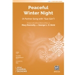 Peaceful Winter Night