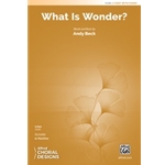 What Is Wonder?