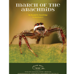 March of the Arachnids (Movement 2 from The Garden Suite)
