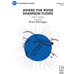 Where the River Shannon Flows
