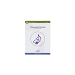 Passacaglia Variants