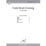 Cook Strait Crossing