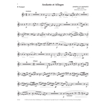 Andante et Allegro