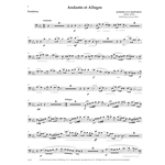 Andante et Allegro