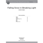 Falling Snow in Breaking Light