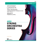 Concerto In D For Strings - Movement #2