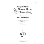 Lo, How a Rose E'er Blooming