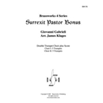 Surrexit Pastor Bonus
