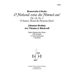 O Heiland, reisz die Himmel auf, Op. 74, No. 2