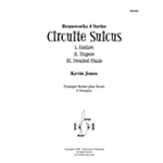 Circuite Suicus