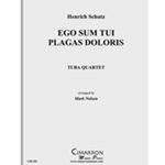 Ego Sum Tui Plagas Doloris