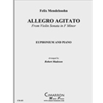 Allegro Agitato in f minor